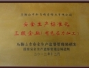 安全生產(chǎn)標(biāo)準(zhǔn)化企業(yè)